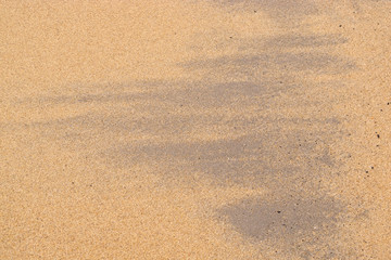 Wet sand on beach