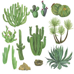 watercolor painting big set with hand drawn cactus garden elements - 139039565