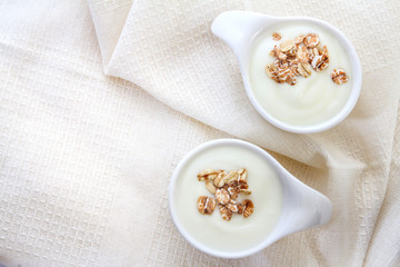 Close up natural creamy white yogurt in cup