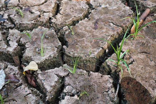 Crack dry ground drought texture background.