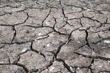 Crack dry ground drought texture background.