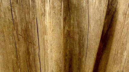 wood texture or wood texture background