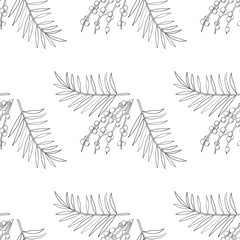 Acai berry branch, leaves, palm superfood hand drawn sketch illustration in color. Seamless pattern.