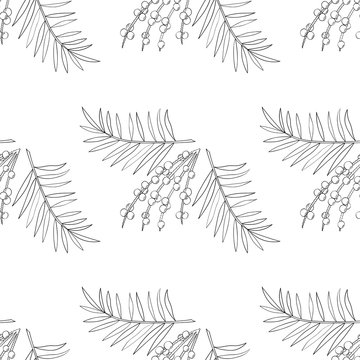 Acai berry branch, leaves, palm superfood hand drawn sketch illustration in color. Seamless pattern.