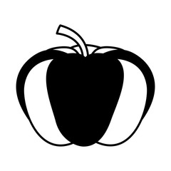 pumpkin fresh vegetable isolated icon vector illustration design