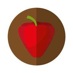 pepper fresh vegetable isolated icon vector illustration design