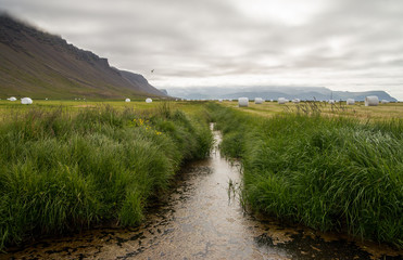Scenic Raudisandurbeach in Iceland
