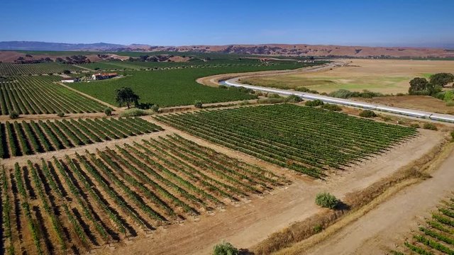 Aerial Drone Of Livermore Valley Vineyards