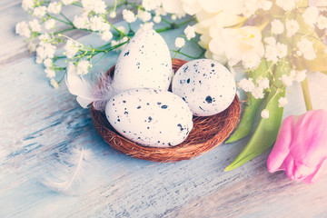 Close up view of easter eggs in a nest. Spring flowers and feathers over blue rustic wood background.