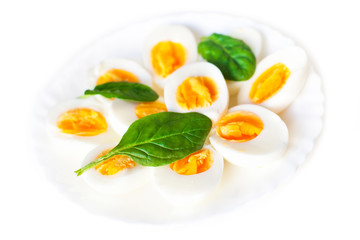 Boiled halved eggs on  plate decorated with spinach  leaves isolated on white. Healthy salad