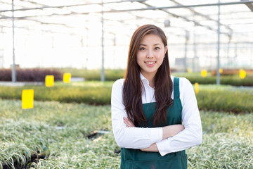 young asian woman works in green house