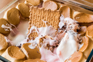Homemade S'mores Dip / Baked Marshmallow with biscuits or crackers