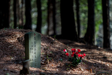 chinhae