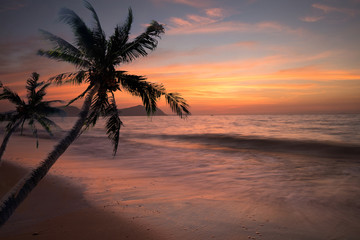 Fototapeta na wymiar Palm tree sandy beach sunrise