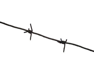 The iron thorn. Fence metal wire. White background