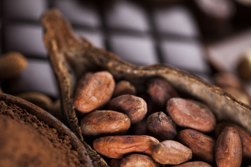 Fototapeta premium Aromatic cocoa, powder and Dark chocolate background