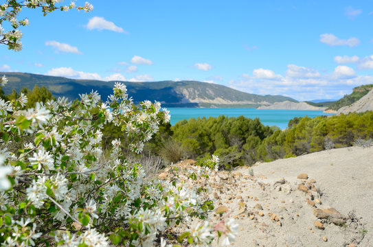 Spring view of the blue lake Yesa