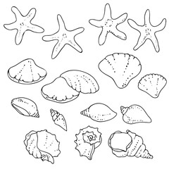 vector black white contour sketch of sea shells sketch