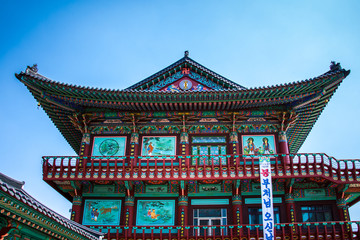 Fototapeta premium frühling in Korea