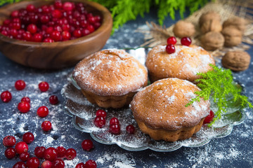 Obraz na płótnie Canvas Fresh baked muffins, cranberry and nuts on a dark background and the branch tree