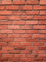 Fototapeta premium wall