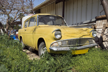 Fototapeta premium yellow old-timer car in green grass