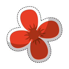 cute flower decorative icon vector illustration design