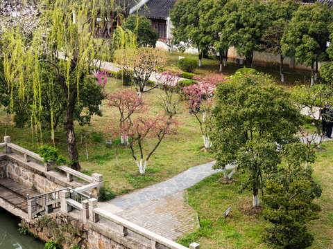 Blossoming plum garden in Panmen area of Suzhou