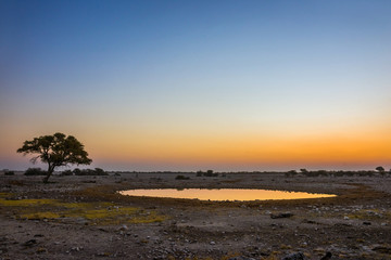 Okaukuejo waterhole (Okaukuejoi camp) in Etosha national park at sunset