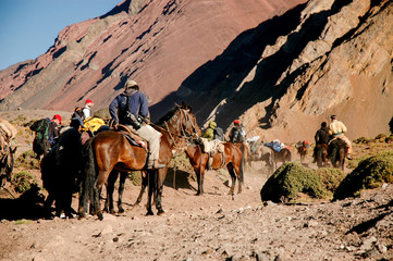 Arrieros in Aconcagua