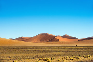 Fototapeta na wymiar Sossusvlei dunes at sunny day