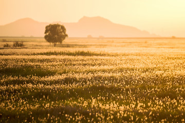 한국 우음도 가을날의 오후 풍경