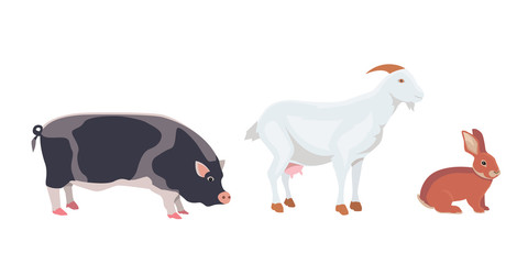 Cartoon Vector Illustration Set of Farm Animals isolated on White