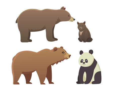 Collection with different cartoon bears isolated on white background. Vector broun and black american bear. Set Wildlife or zoo grizzly. panda.