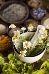 Alternative medicine, dried herbs and mortar on wooden desk background