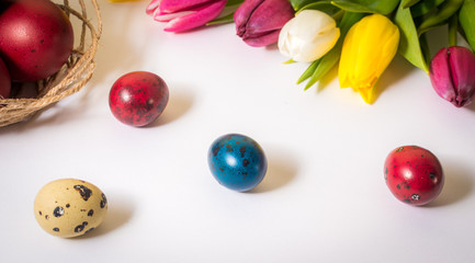 Easter eggs and tulips on white background