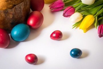 Easter eggs and tulips on white background