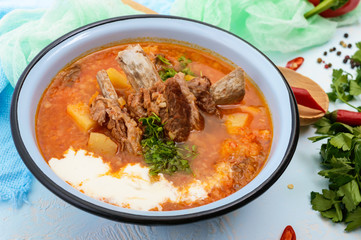 Traditional national Ukrainian vegetable soup: borsch with pork ribs on a light background.