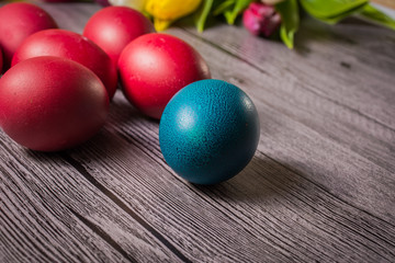 Easter eggs and tulips on wooden background