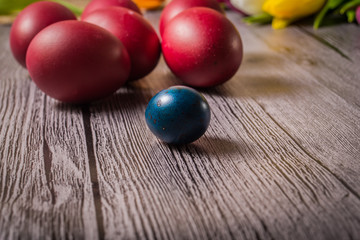 Easter eggs and tulips on wooden background