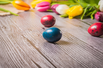 Easter eggs and tulips on wooden background