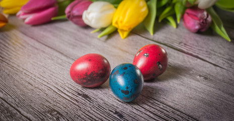Easter eggs and tulips on wooden background