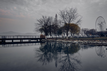 Fototapeta premium trees standing by riverside under dramatic sky,wuxi city,jiangsu province,China.