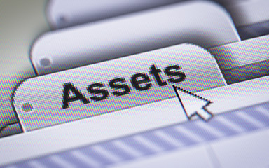 Report on the Assets.