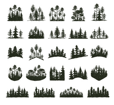Tree outdoor travel black silhouette coniferous natural badges, tops pine spruce branch cedar and plant leaf abstract stem drawing vector illustration.