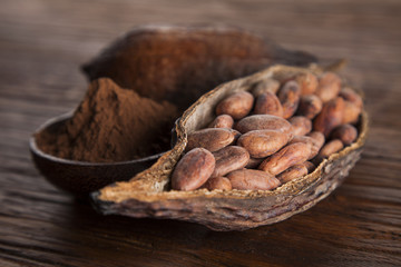 Cacao beans and powder and food dessert background