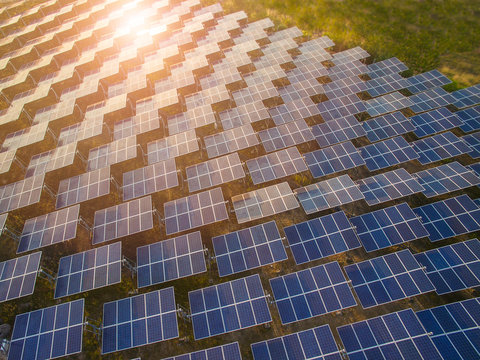 Solar panels (solar cell) in solar farm with  sun lighting to create the clean electric power