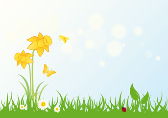 Fototapeta na wymiar Spring landscape vector. Grass with daffodils. Vector illustration fresh nature