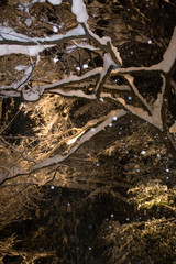 冬　積雪