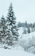 Fototapeta premium Winter Carpathian Mountains landscape.